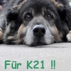 2cb418b7-88c9-4127-b320-a003a4d04a19_4_5005_c