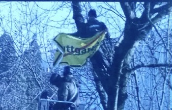 sq0025ae0swtiegv8q63gbdqa_thumb_cc3b