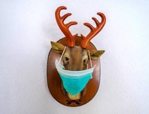 unadjustednonraw_thumb_d51a